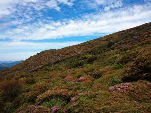 くじゅう登山