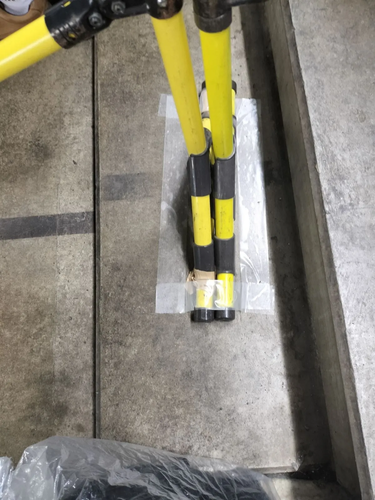 平日の野球観戦