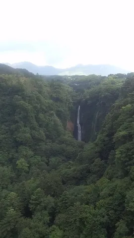 涼をもとめて