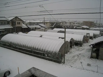 雪来る(・.・;)